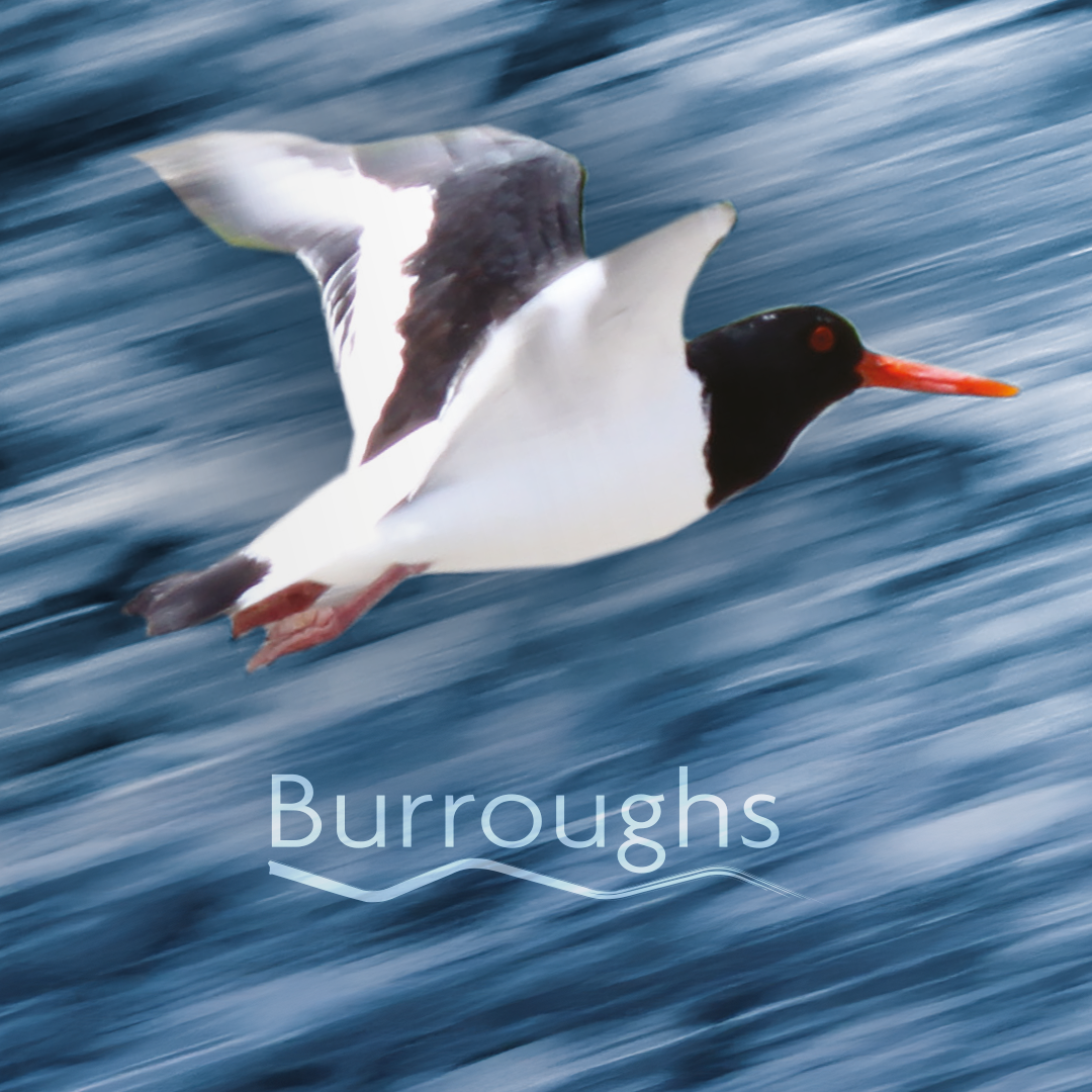 Burroughs_Logo_square_2